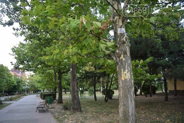 «Ломать – не строить»: вандализм в Черноморске, фото-5 «Ломать – не строить»: вандализм в Черноморске, фото-5