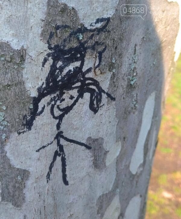 «Ломать – не строить»: вандализм в Черноморске, фото-22 «Ломать – не строить»: вандализм в Черноморске, фото-22