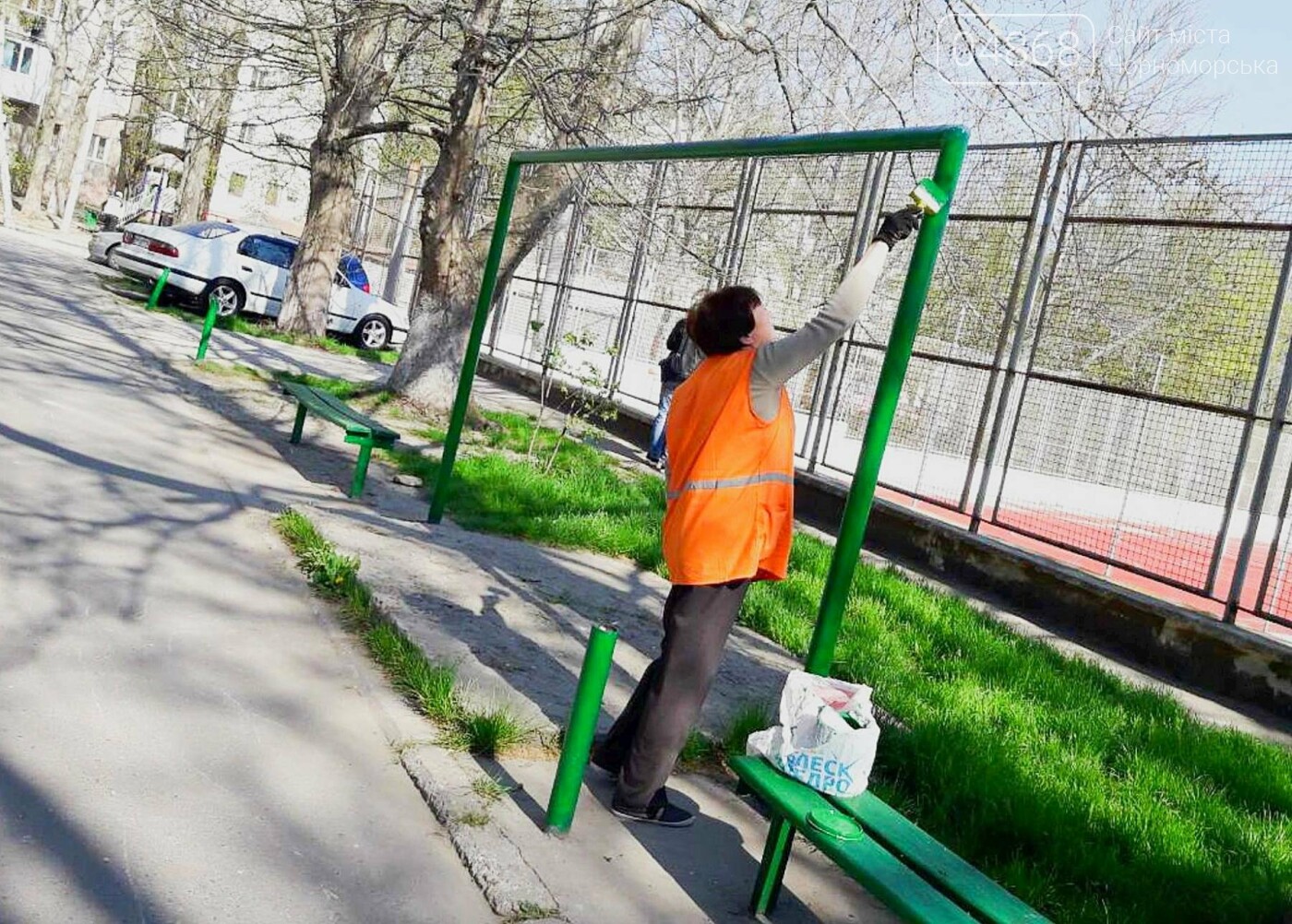 В Черноморске высажено 500 новых деревьев и кустарников, фото-15 В Черноморске высажено 500 новых деревьев и кустарников, фото-15