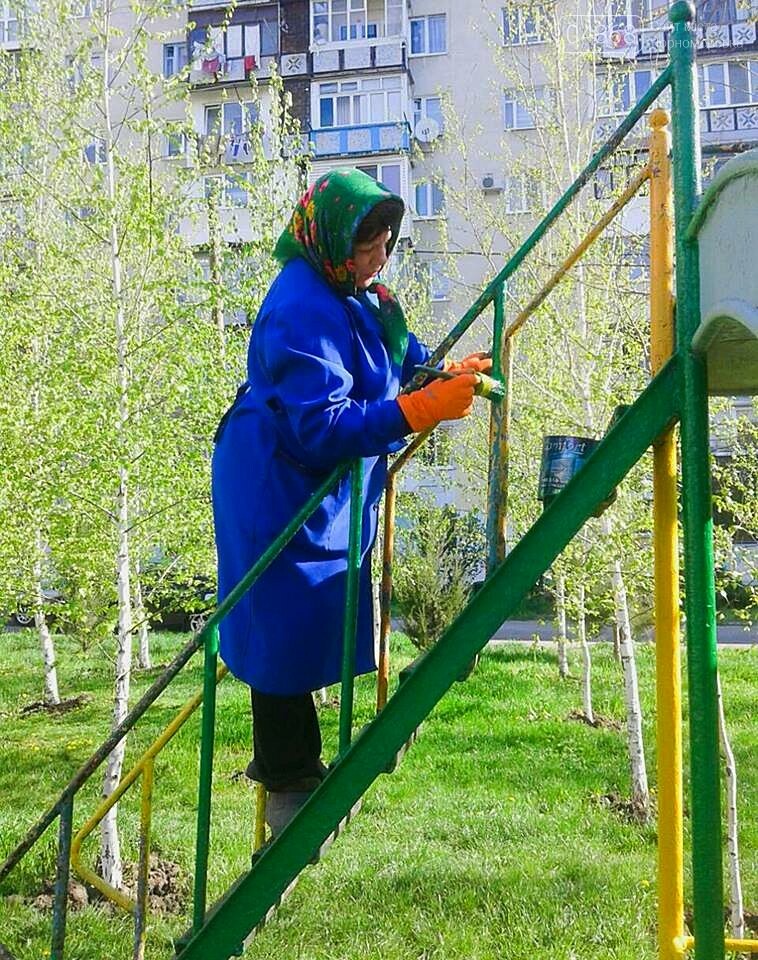 В Черноморске высажено 500 новых деревьев и кустарников, фото-9 В Черноморске высажено 500 новых деревьев и кустарников, фото-9