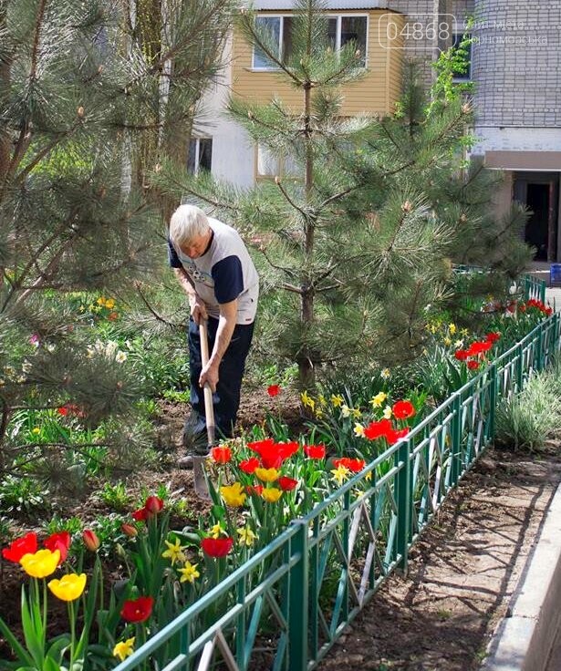 В Черноморске высажено 500 новых деревьев и кустарников, фото-6 В Черноморске высажено 500 новых деревьев и кустарников, фото-6