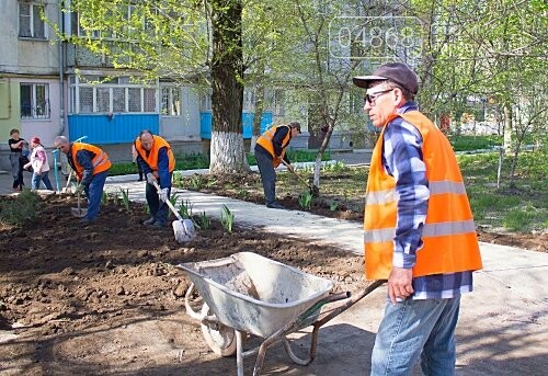 В Черноморске высажено 500 новых деревьев и кустарников, фото-3 В Черноморске высажено 500 новых деревьев и кустарников, фото-3