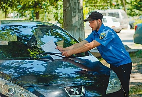 Протоколы, конопля и парковка на газоне: будни «Муниципаль..., фото-3 Протоколы, конопля и парковка на газоне: будни «Муниципальной охраны», фото-3