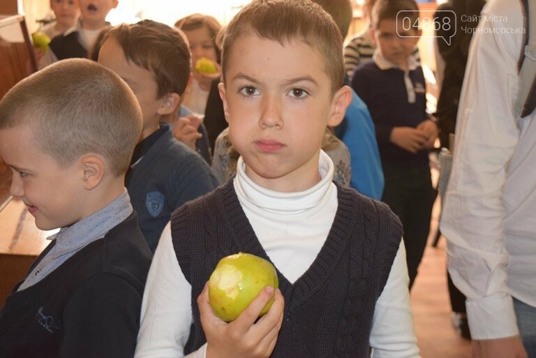 Бюджет Черноморска – 2019: социальная защита, фото-3 Бюджет Черноморска – 2019: социальная защита, фото-3