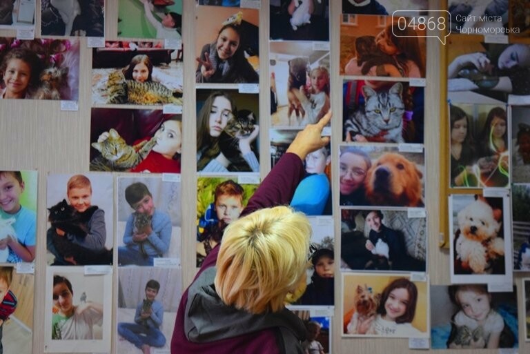 В Черноморске подвели итоги фотоконкурса «Мой пушистый друг», фото-1 В Черноморске подвели итоги фотоконкурса «Мой пушистый друг», фото-1