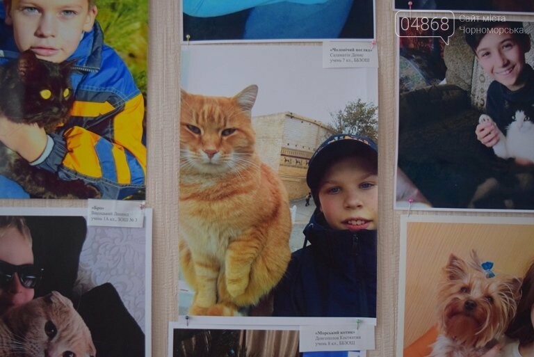 В Черноморске подвели итоги фотоконкурса «Мой пушистый друг», фото-9 В Черноморске подвели итоги фотоконкурса «Мой пушистый друг», фото-9