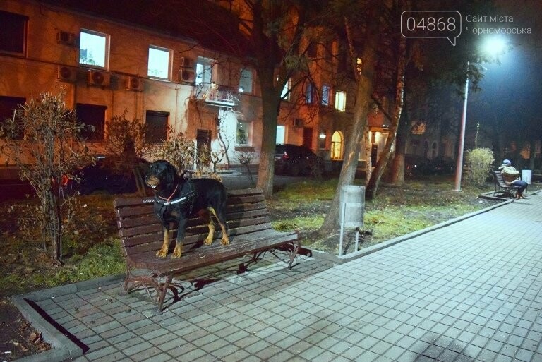 «Общественный бюджет»: в Черноморске завершён проект благоу..., фото-8 «Общественный бюджет»: в Черноморске завершён проект благоустройства Корабельной , фото-8