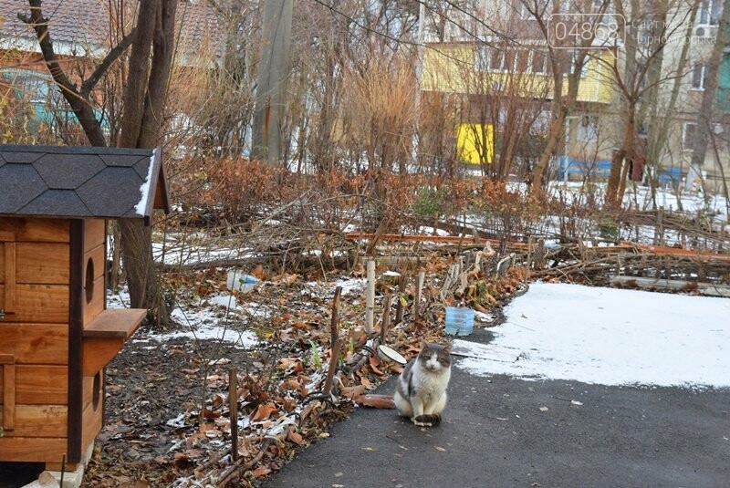 Фотофакт: в Черноморске строят уютные домики для кошек, фото-7 Фотофакт: в Черноморске строят уютные домики для кошек, фото-7