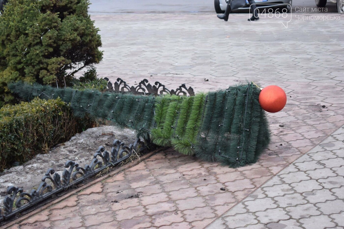 Немного грустно, но неизбежно: в Черноморске разбирают нов..., фото-19 Немного грустно, но неизбежно: в Черноморске разбирают новогодние ёлки, фото-19