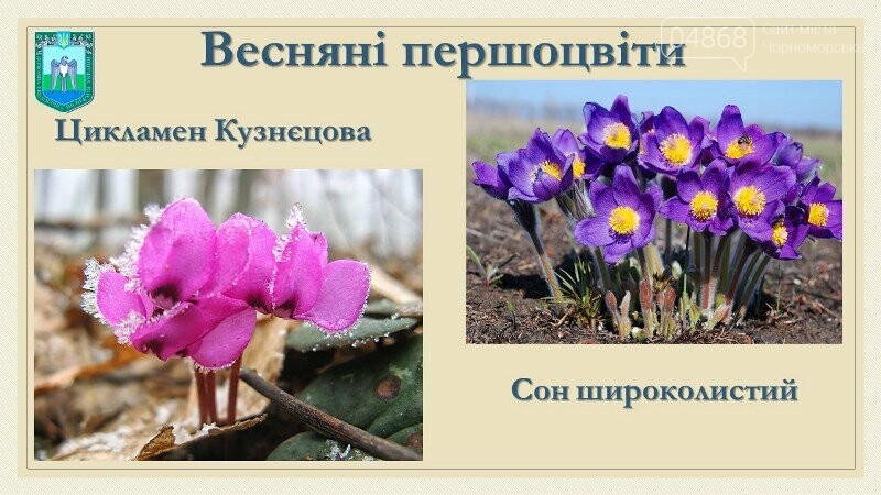 Весна: за что жители Черноморска могут получить штрафы?, фото-8 Весна: за что жители Черноморска могут получить штрафы?, фото-8