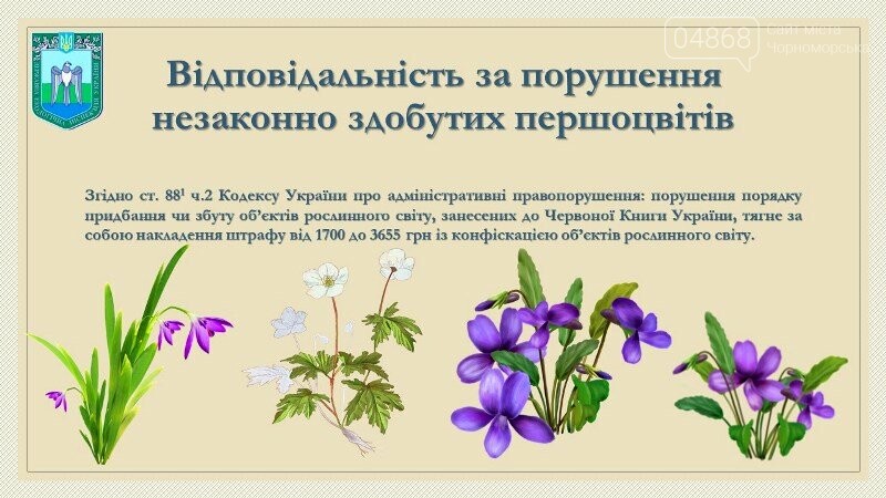 Весна: за что жители Черноморска могут получить штрафы?, фото-10 Весна: за что жители Черноморска могут получить штрафы?, фото-10