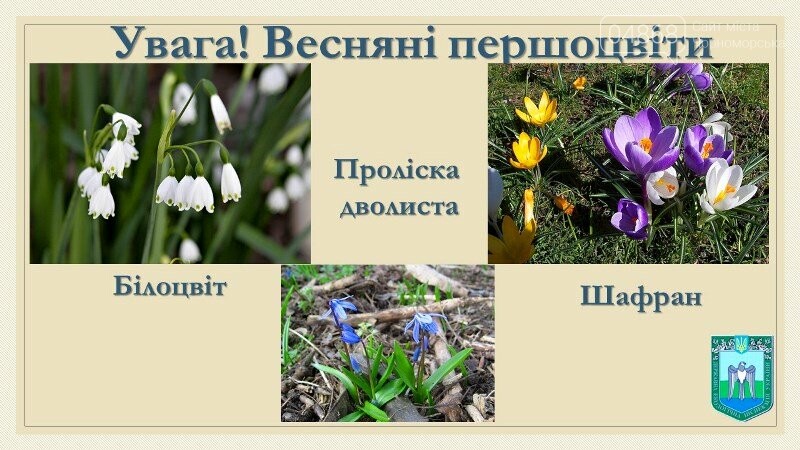 Весна: за что жители Черноморска могут получить штрафы?, фото-9 Весна: за что жители Черноморска могут получить штрафы?, фото-9