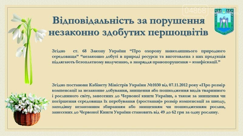 Весна: за что жители Черноморска могут получить штрафы?, фото-11 Весна: за что жители Черноморска могут получить штрафы?, фото-11