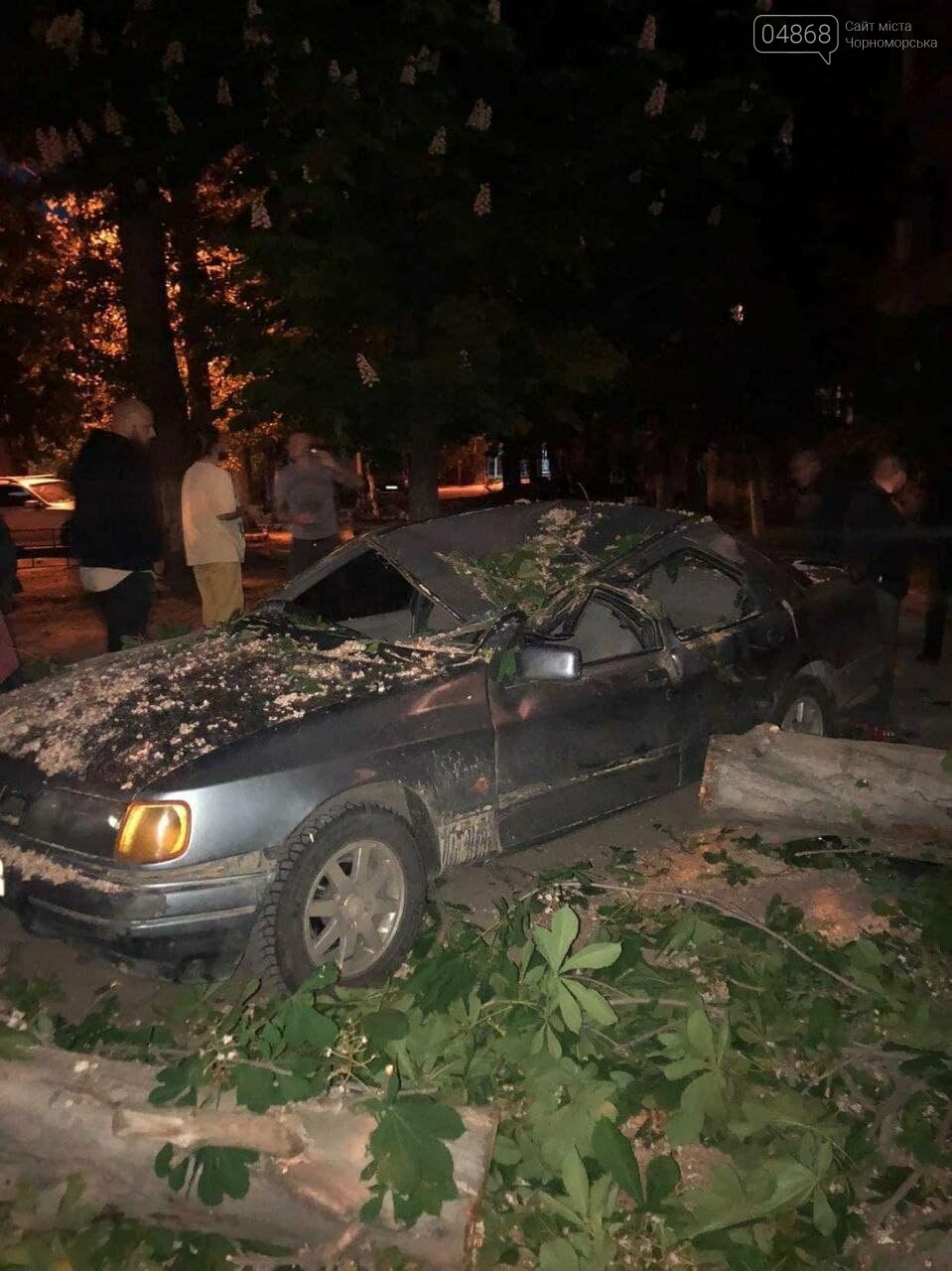 В Черноморске дерево упало на машину, фото-1