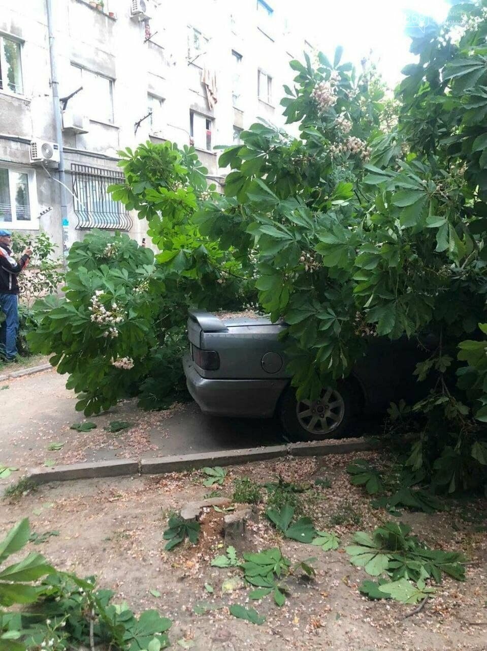 В Черноморске дерево упало на машину, фото-4