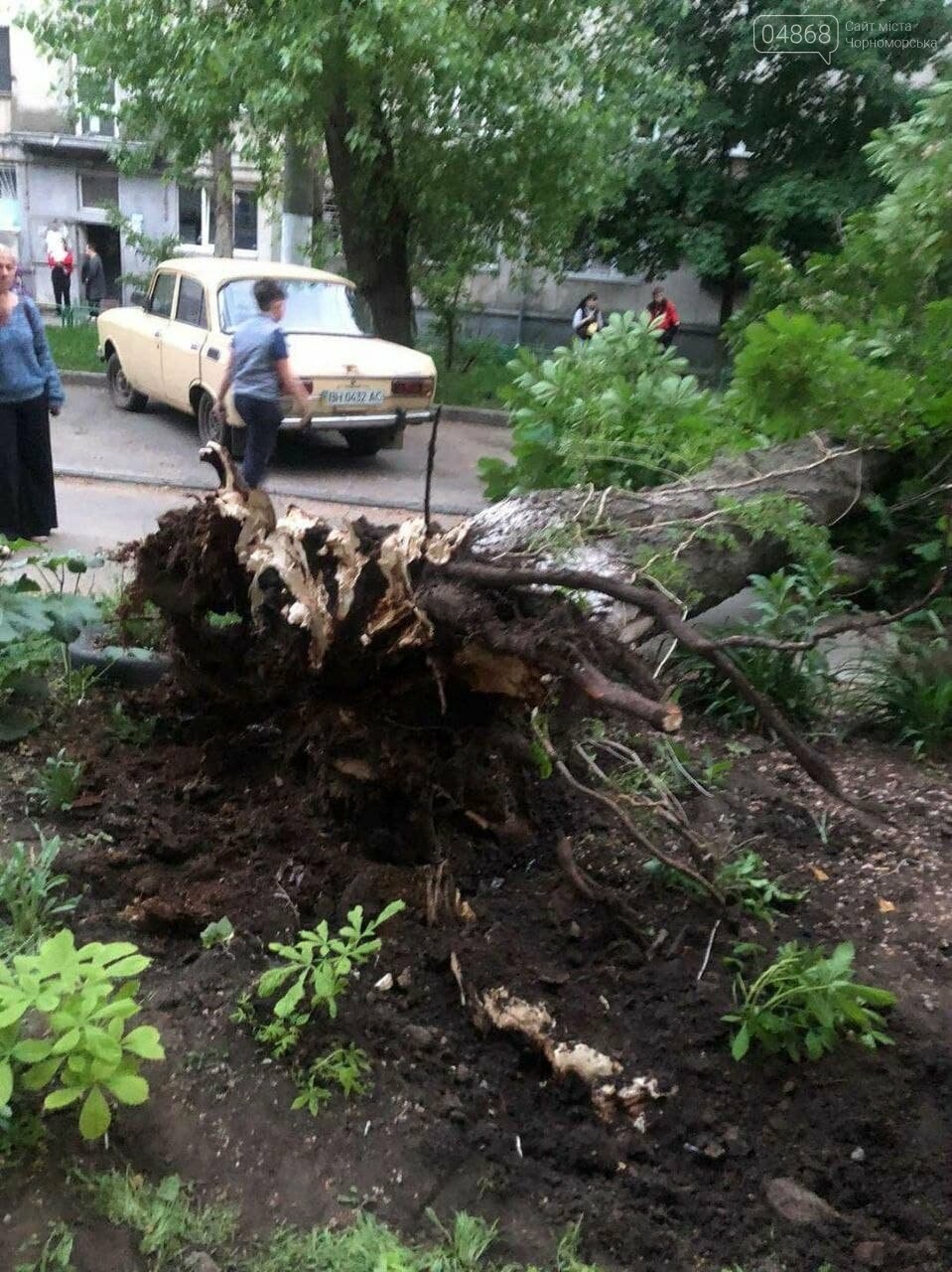 В Черноморске дерево упало на машину, фото-6