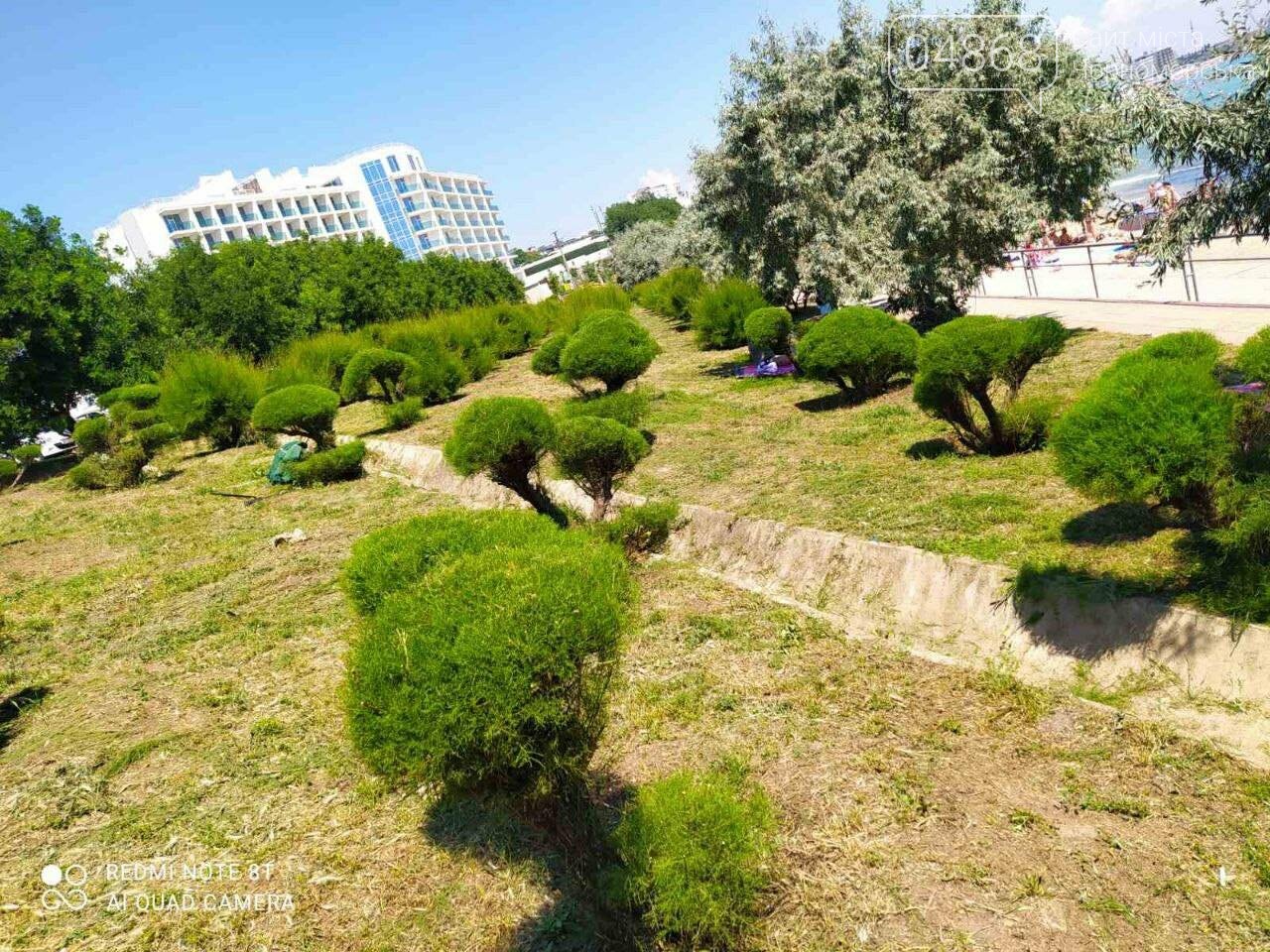 В Черноморске «Зеленхоз» проводит обрезку декоративных кустов, фото-8