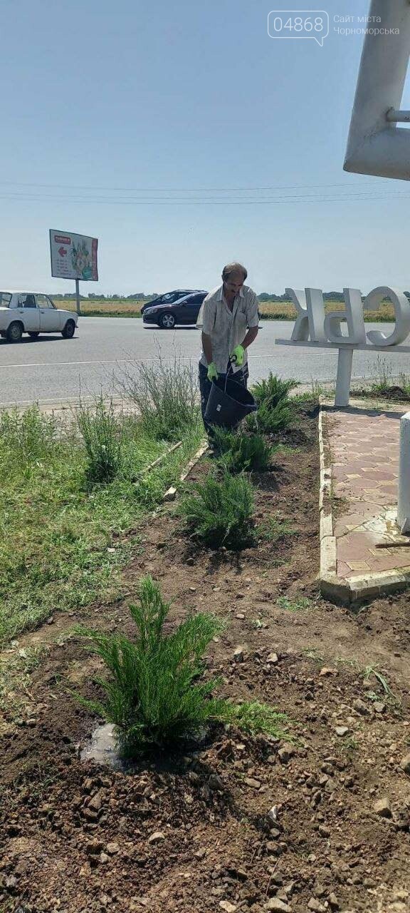 В Черноморске «Зеленхоз» проводит обрезку декоративных кустов, фото-4