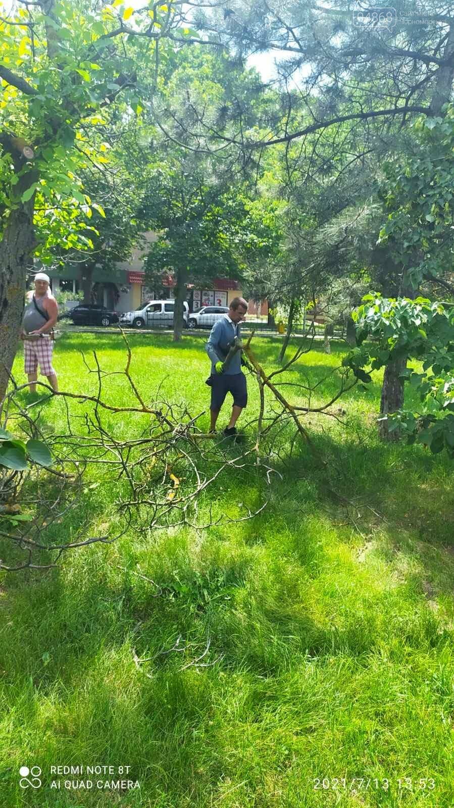 В Черноморске КП «Зеленхоз» продолжает работы по благоустройству города, фото-1
