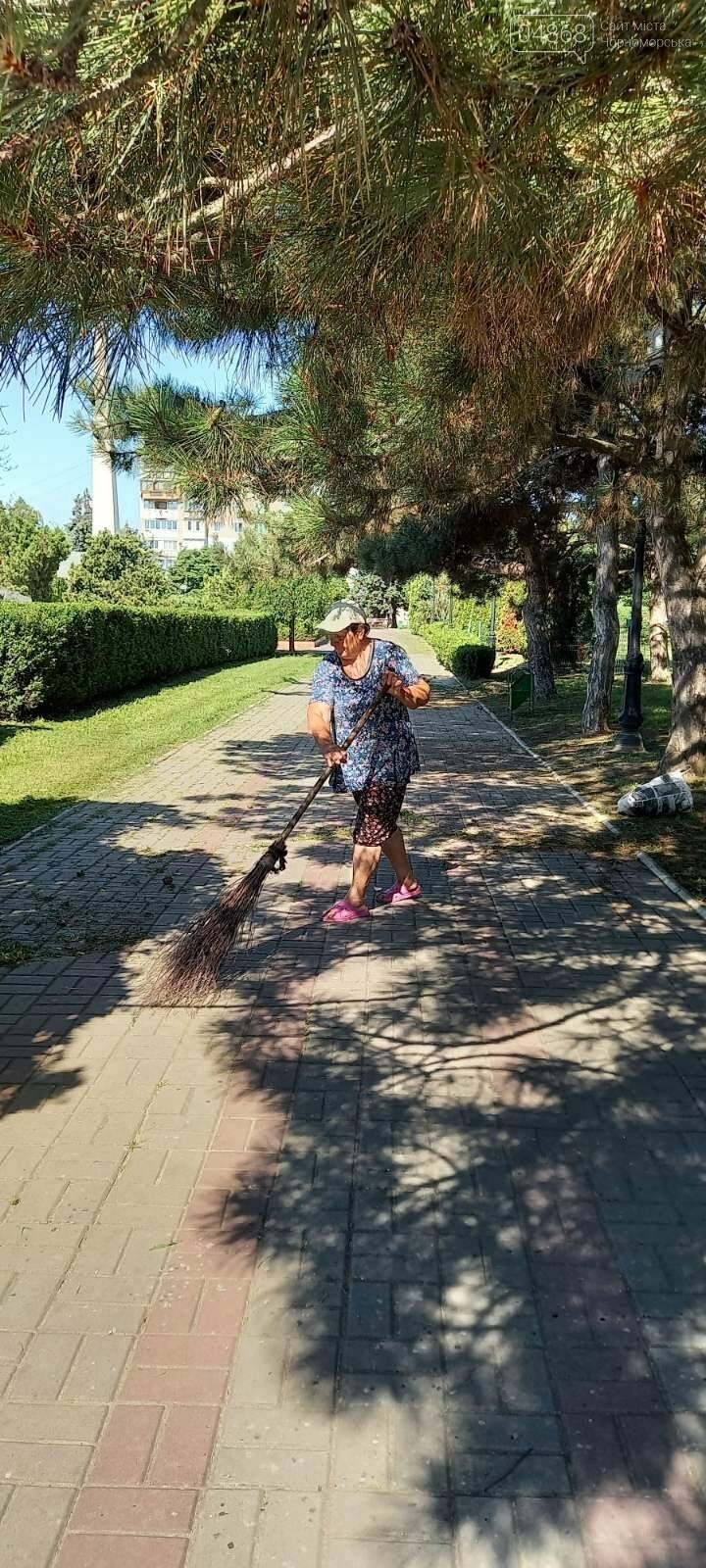 В Черноморске КП «Зеленхоз» продолжает работы по благоустройству города, фото-4