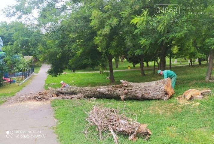 В Черноморске КП "Зеленхоз" приступил к уборке сухостойных деревьев, фото-2
