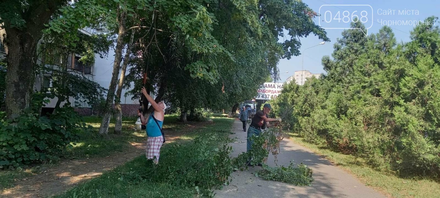 В Черноморске КП "Зеленхоз" приступил к уборке сухостойных деревьев, фото-3