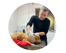 Логотип - Ветеринарная Амбулатория