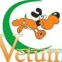Логотип - Vetum Ветеринарна клініка у Чорноморську