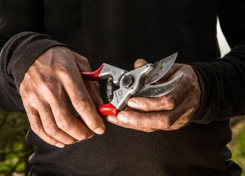 FELCO 4 Одноручный секатор - Зображення 1