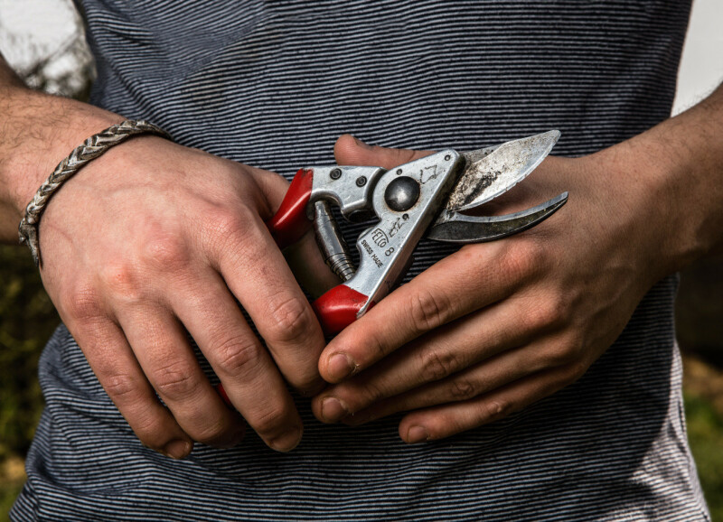 FELCO 8 Одноручный секатор - Зображення 1