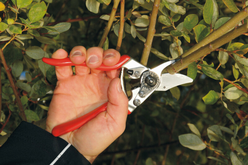 FELCO 6 Одноручный секатор - Зображення 3