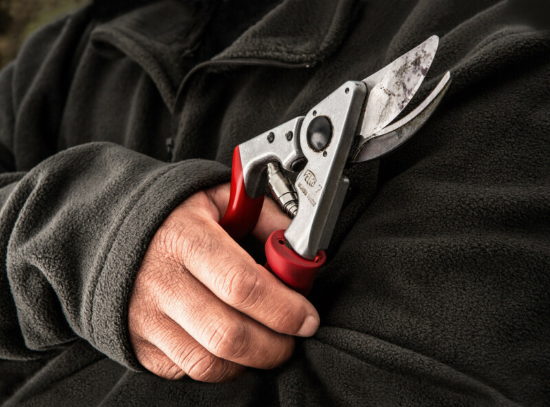 FELCO 7 Одноручный секатор - Зображення 1