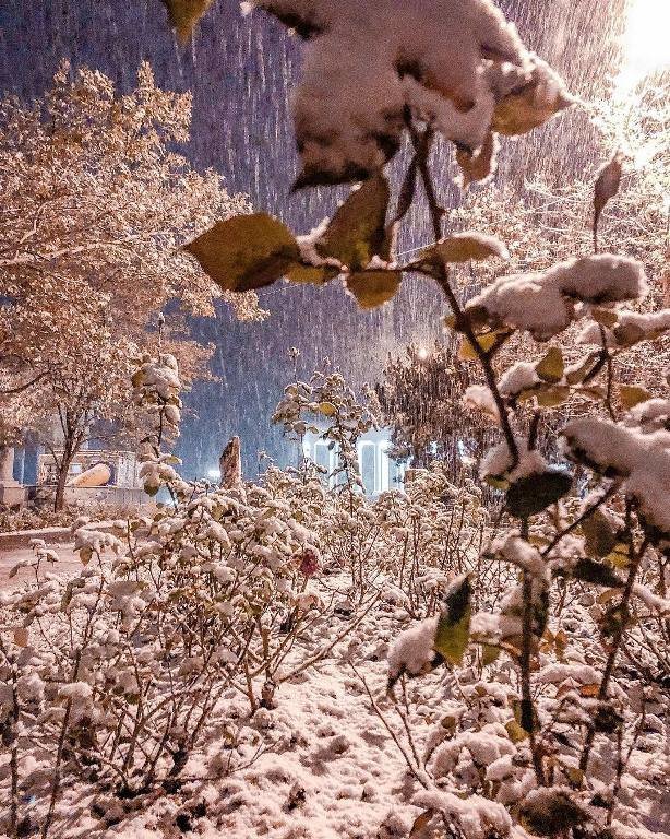 С первым снегом, Черноморск!, фото-1 С первым снегом, Черноморск!, фото-1