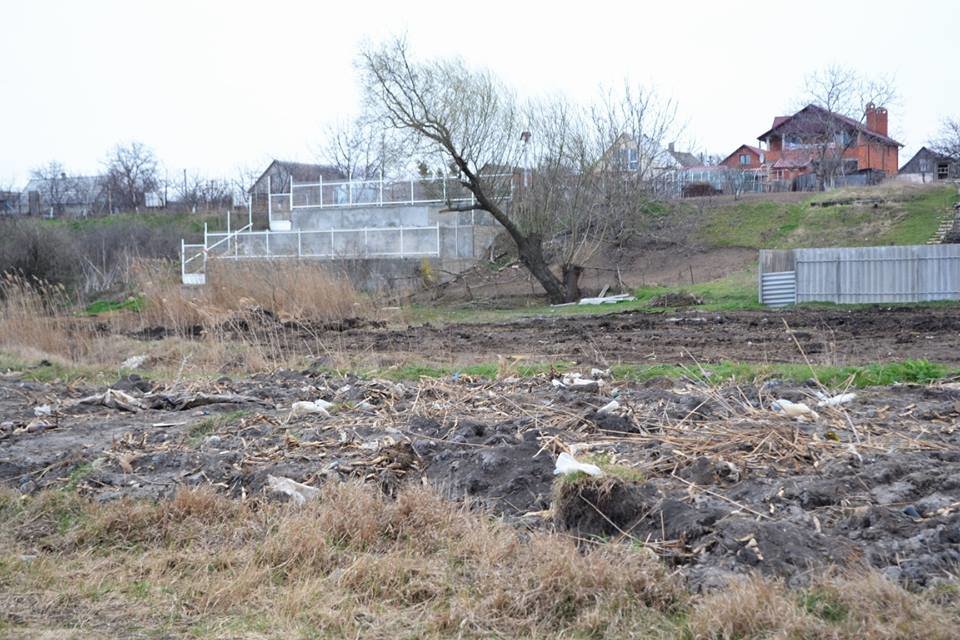 Все желающие могут поучаствовать в посадке деревьев в Малод..., фото-4 Все желающие могут поучаствовать в посадке деревьев в Малодолинском, фото-4