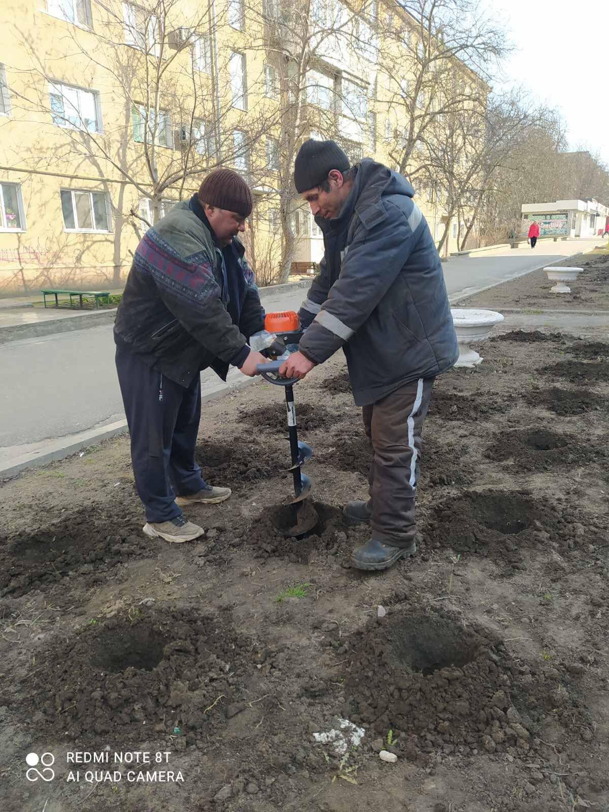 Более 800 кустов роз высадили сегодня в Черноморске , фото-6