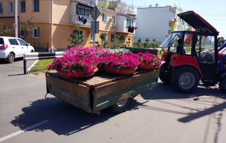 В Одесской области вторсырье обменяли на цветы В Одесской области вторсырье обменяли на цветы, Егор Вольнов