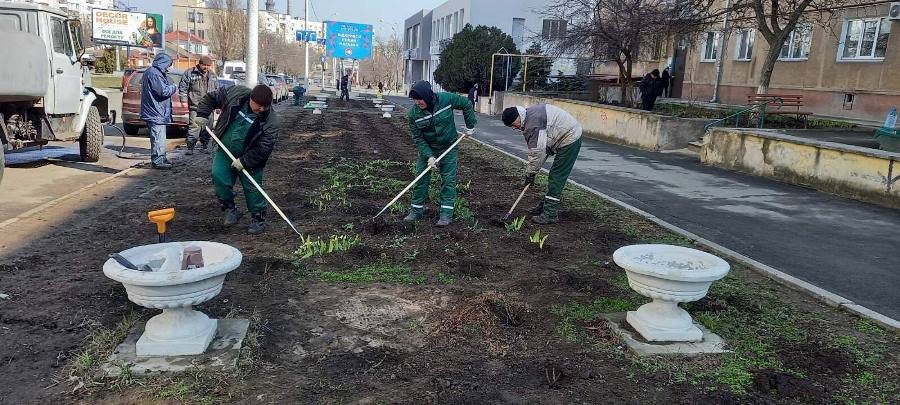 Более 800 кустов роз высадили сегодня в Черноморске 