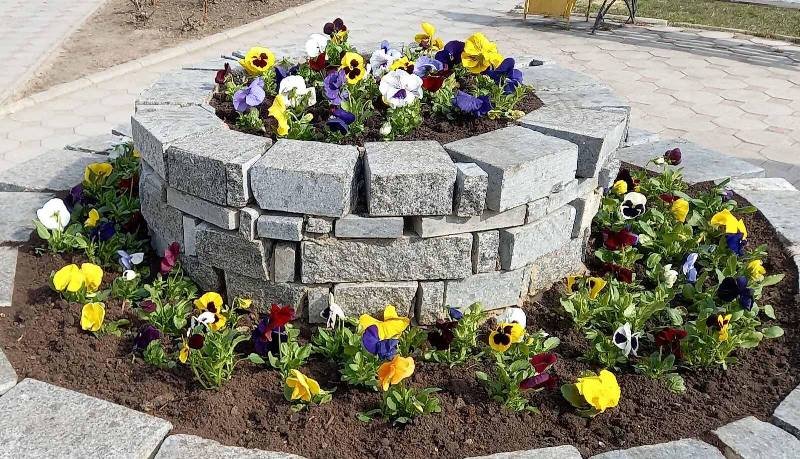 В Черноморске продолжают высаживать весенние цветы