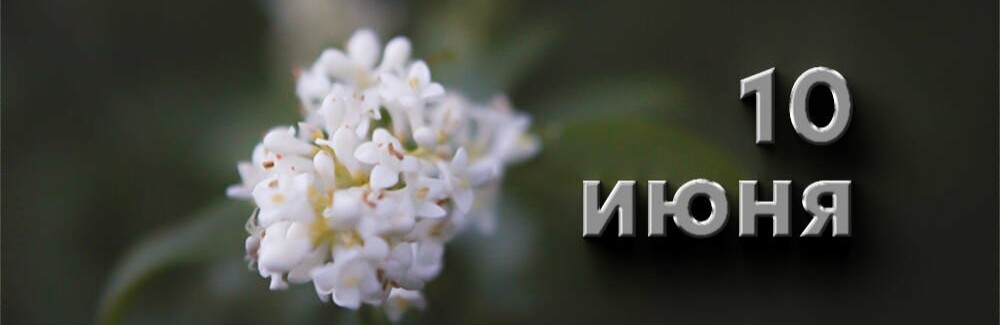 День в истории: 10 июня