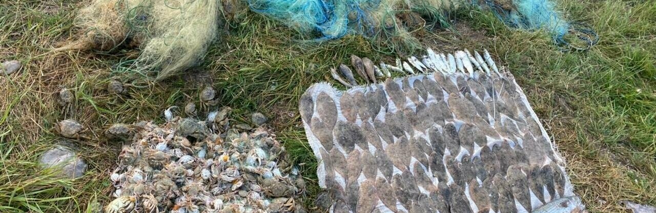 В Одесской области задержали браконьера с большим уловом крабов и рыбы