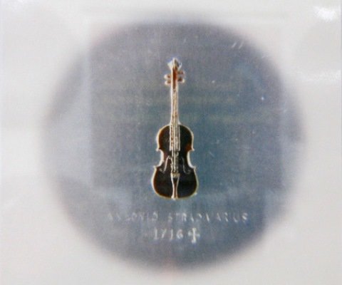 ft_23.04.10_vistavka_04